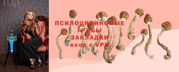 а пвп мука Алзамай