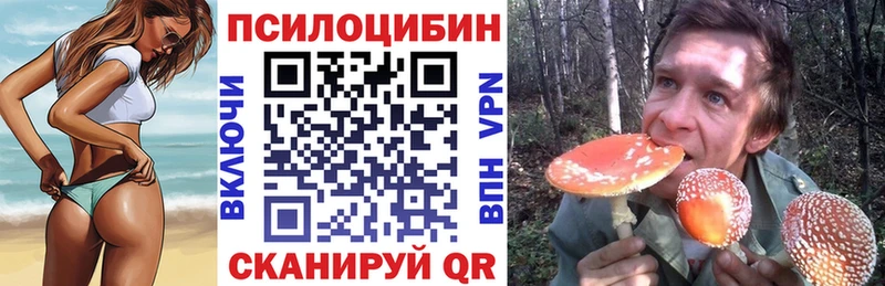 где продают наркотики  Анжеро-Судженск  Псилоцибиновые грибы GOLDEN TEACHER 